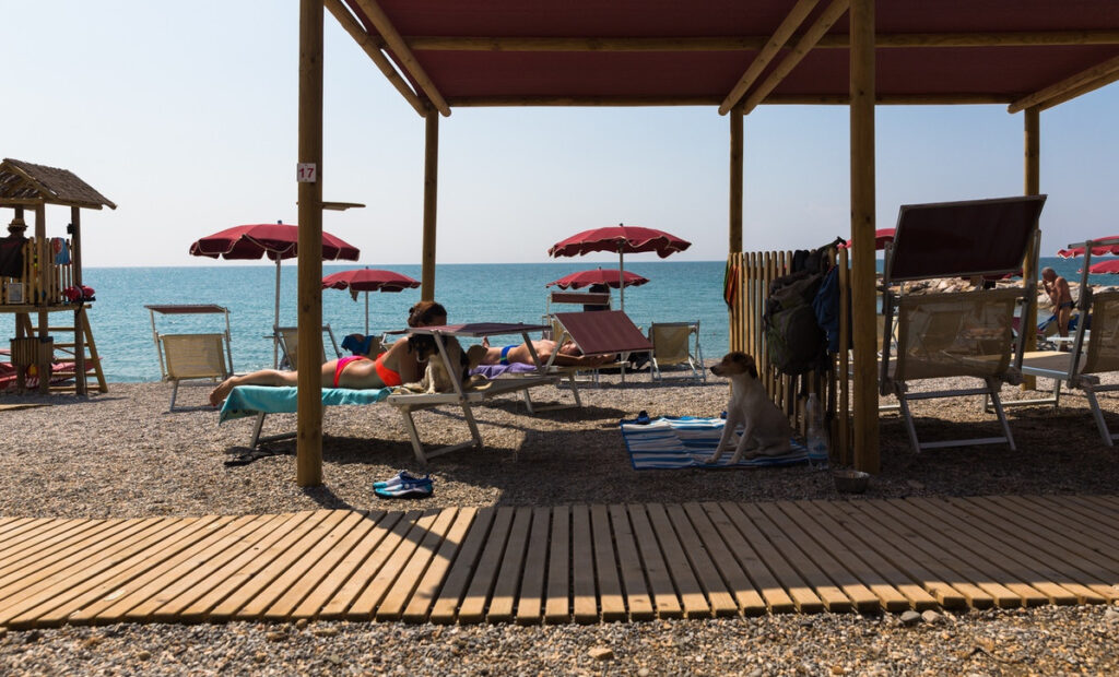 Dog beach Costa degli Etruschi